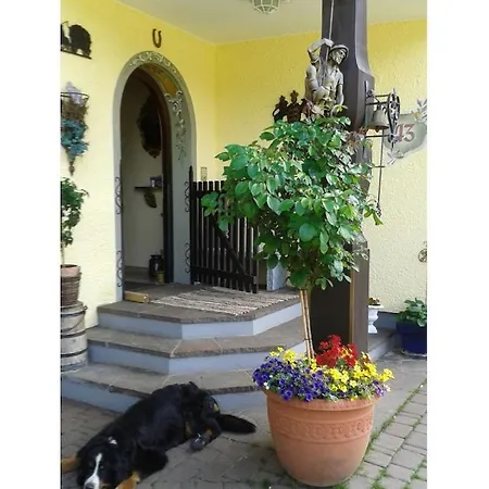 Apartment In Pinswang With Swimming Pool * 平斯旺