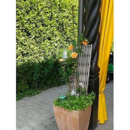 度假居 Apartment In Pinswang With Swimming Pool 平斯旺
